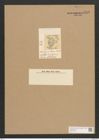 Cocconeis clavigera O'Meara (de-Toni-Nr.: Genus 40, Species 1806) Zeichnungen Sammlung Grunow Nr. 3593 (NHMW-BOT-W0371184)